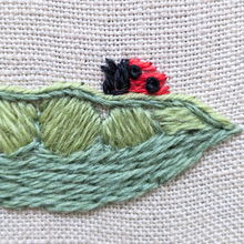 Load image into Gallery viewer, Beginners Embroidery Workshop