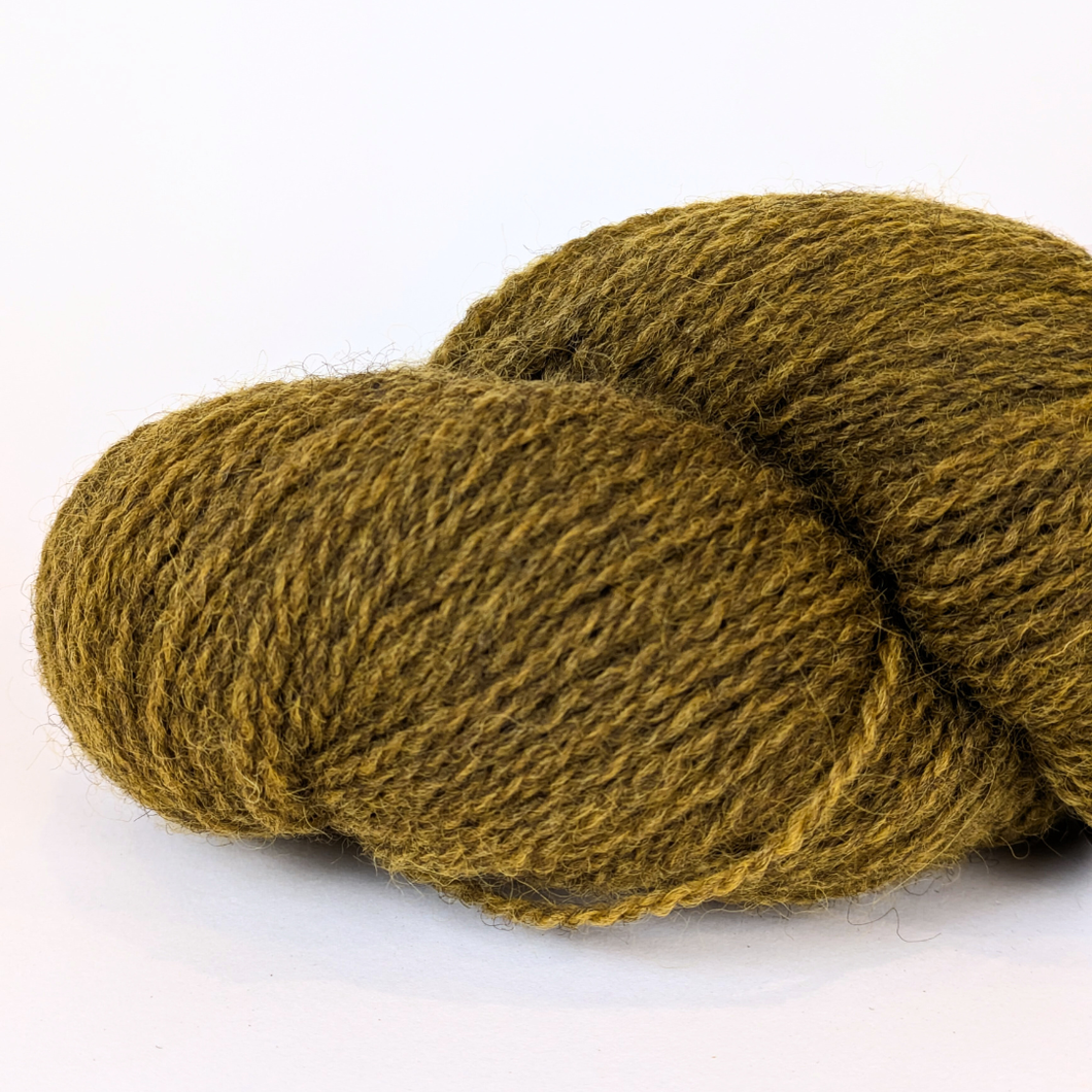 Woollenflower Earth Rhubarb