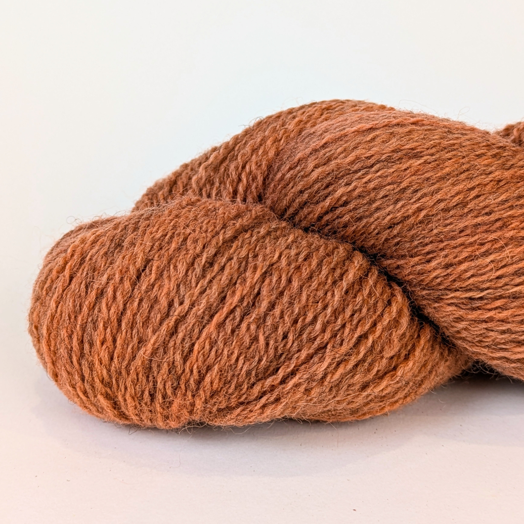 Woollenflower Earth Madder