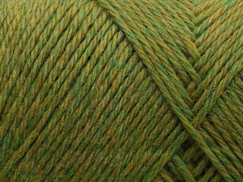 Filcolana Arwetta Yarn 809 Avocado