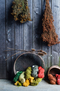 The Colours of Nature: Basic DIY for Natural Dying