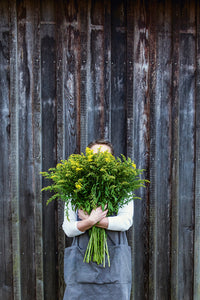 The Colours of Nature: Basic DIY for Natural Dying