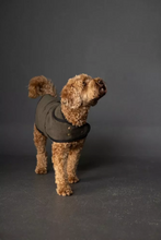 Load image into Gallery viewer, Barka Dog Coat
