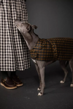Load image into Gallery viewer, Barka Dog Coat
